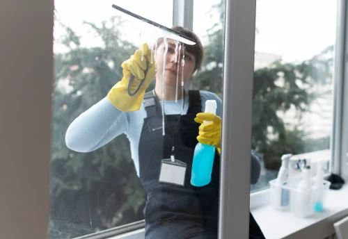 Nettoyage de vitres intérieures et extérieures à Tartaras